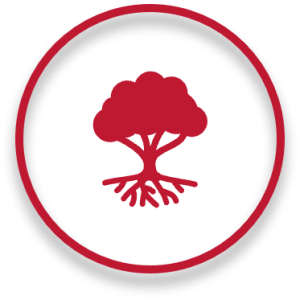 Roter Baum als Pictogramm für Meisterkurs Tax to Worth