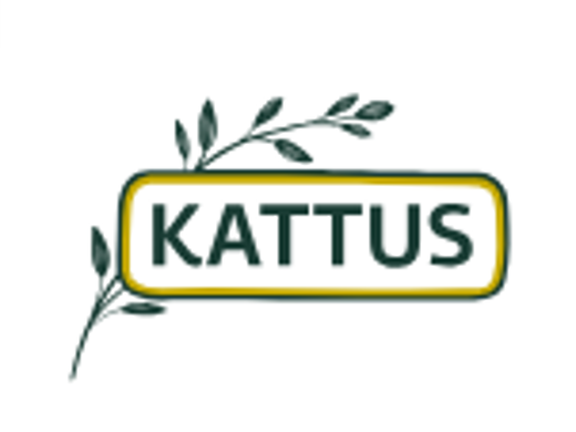 Kattus [Logo heute]