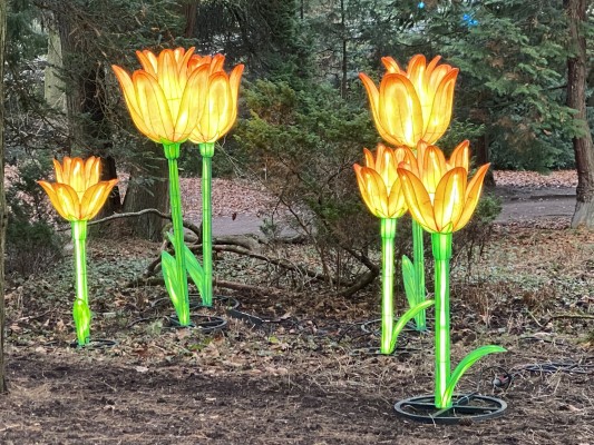 Monatsrückblick Januar 2026