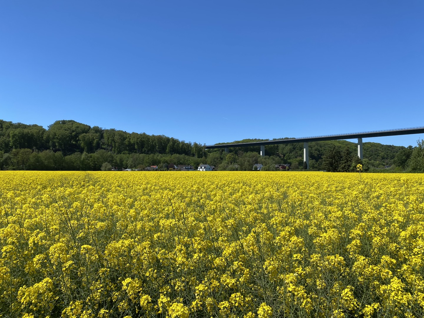 Monatsrückblick Mai 2026