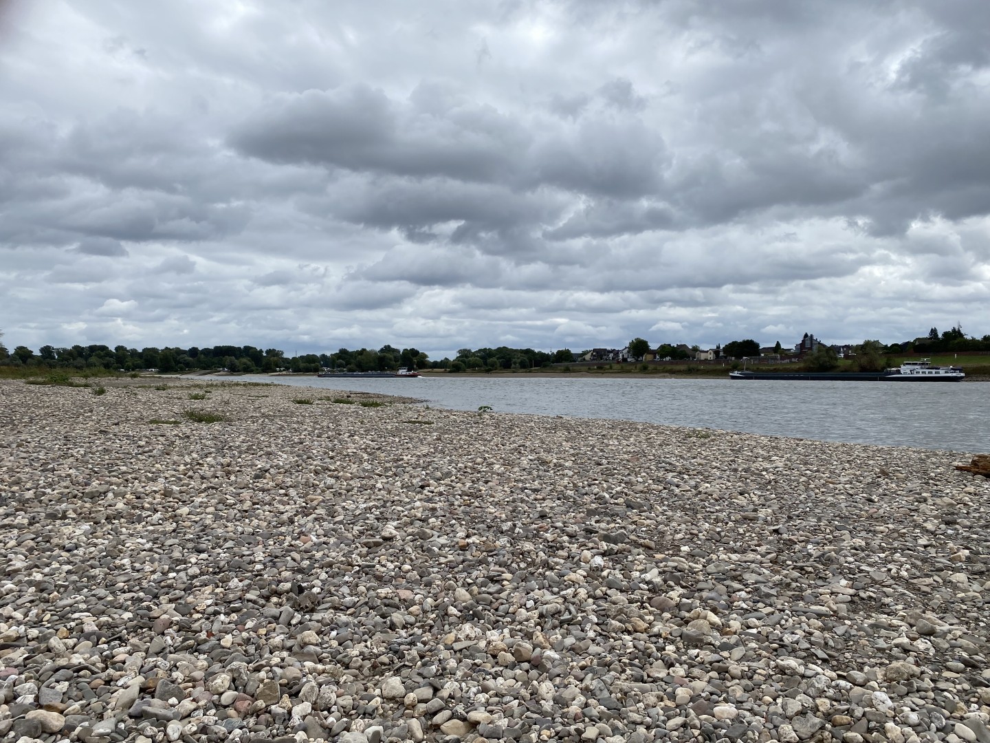 Breites Kiesufer am Himmelgeister Rheinbogen mit Rhein, vorbeifahrenden Schiffen und dicht bewölktem Himmel.