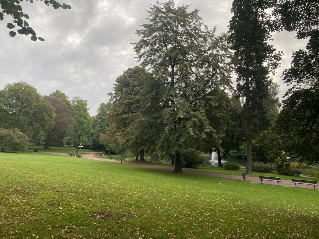 Blick über den Stadtgarten Essen mit Rasenflächen, alten Bäumen, Wegen und einem kleinen Teich mit Fontäne.